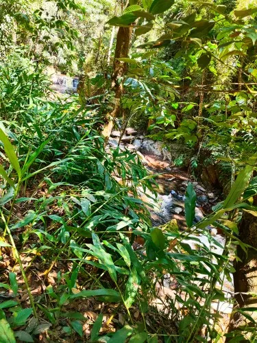 Balança Corporal Bioimpedância Profissional Bluetooth - Neverdie Store photo review