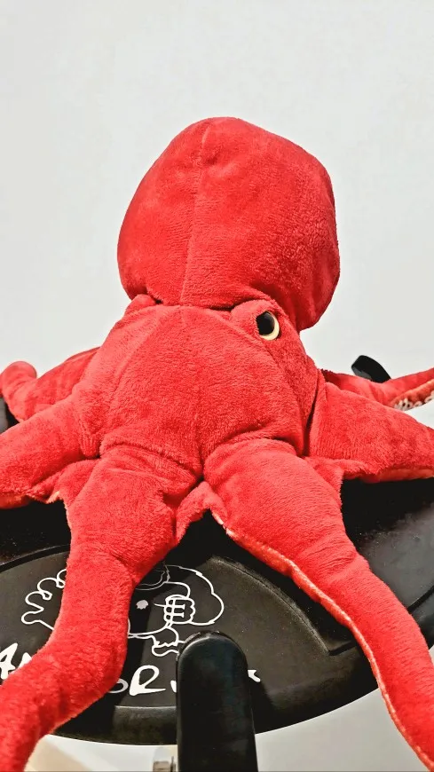 Polvo Gigante Fofeza® de Pelúcia