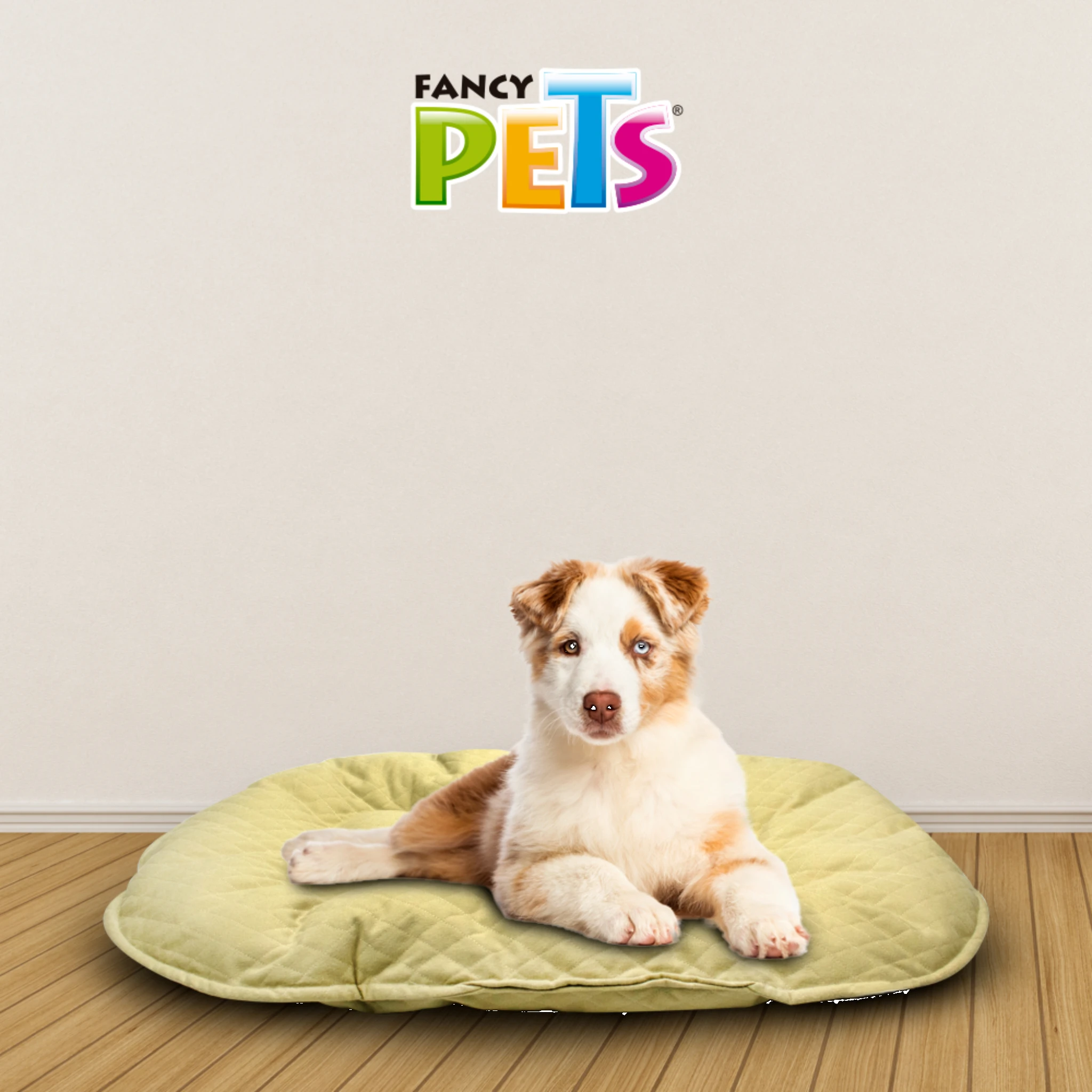 Cojín Para Cama De Plástico, Color Café Fancypets Tx11134