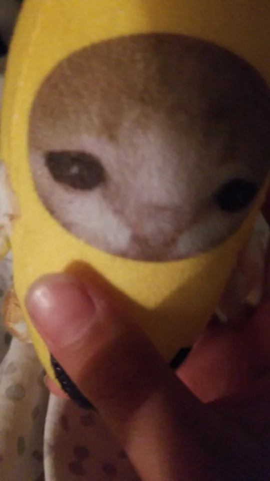 Creative Banana Cat Plush Toy Keychain – Quirky Pinch Cat Gift for Kids