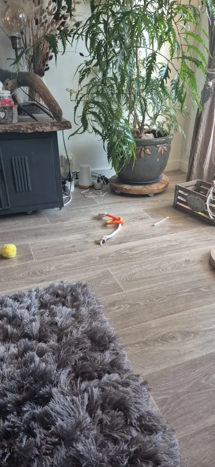Pelota Interactiva Para Gato