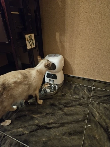 🐾 3.5L אוטומטי חיות מחמד מזין חכם WiFi – קיבולת גדולה, מקליט קול, עיתוי מדויק! מזין איטי לכלב וחתול, נוחות ושליטה מרחוק! 🐱