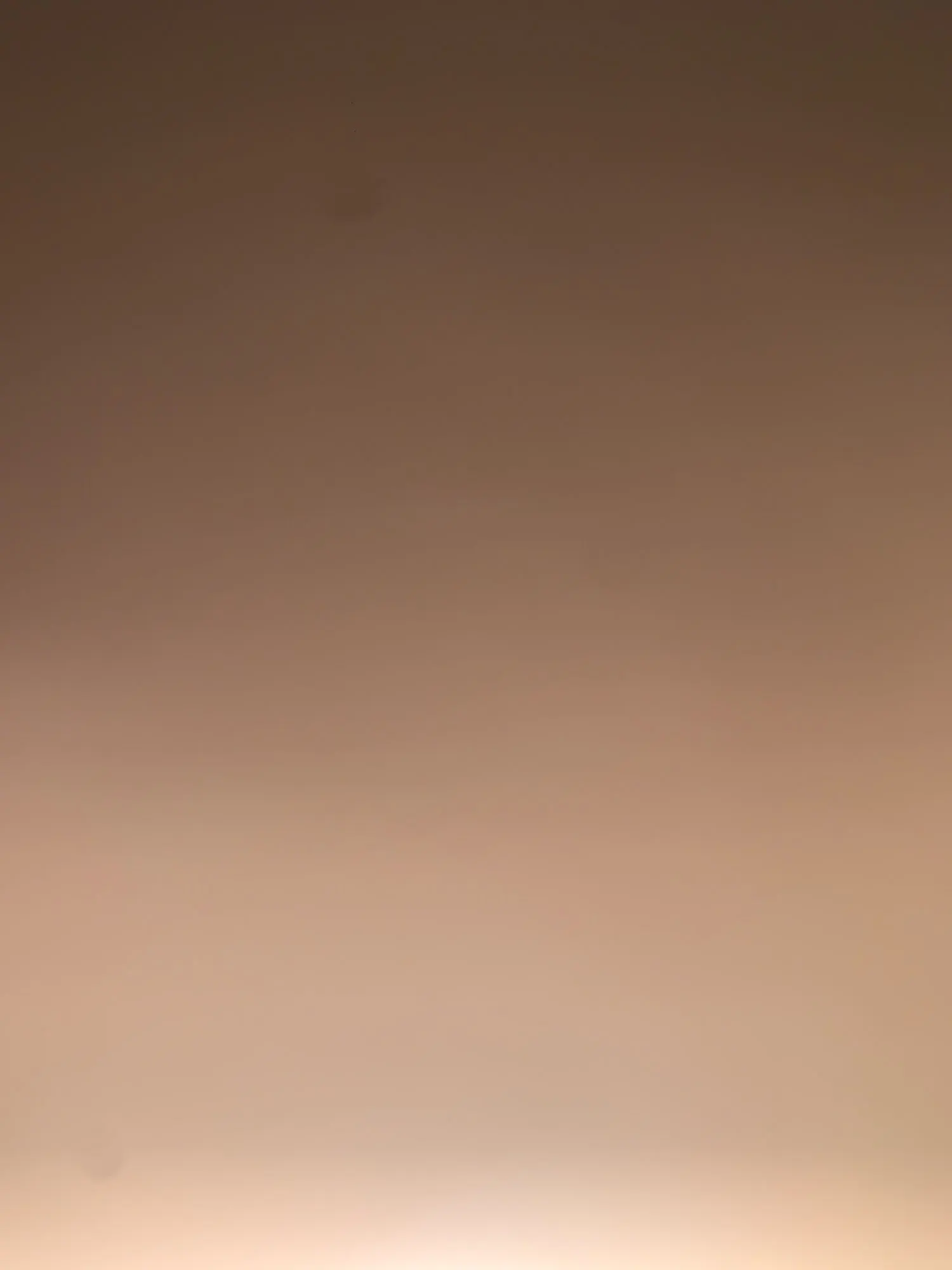 Ailegogo Faux Leather Short Jacket photo review