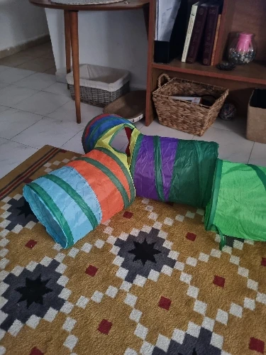 Cat Tunnel Foldable Cat Tunnel Pet Supplies Cat S T Y Pass Play Tunnel Cat Toy photo review