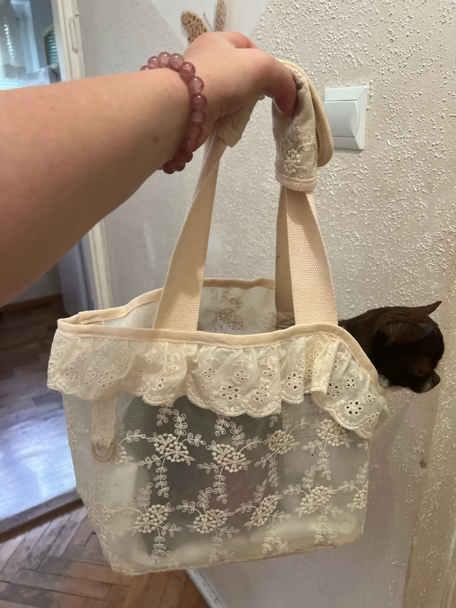 Cute Lace Carrier Bags for Dogs photo review
