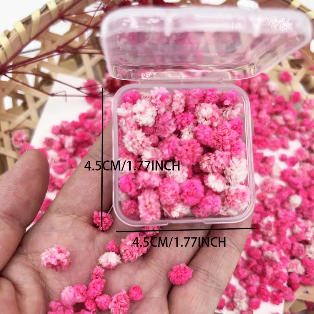 Artisan Dried Flowers for Crafting: Candle, Soap, and Nail Art Enhancements