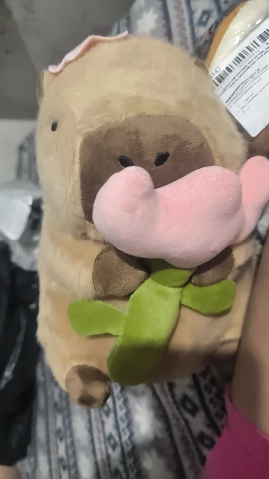 Kawaii Capybara Plushies - Bread & Flower Edition photo review