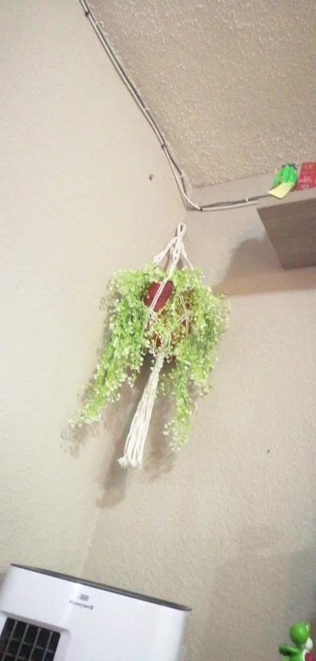 Suspension Macramé Pot de Fleur photo review