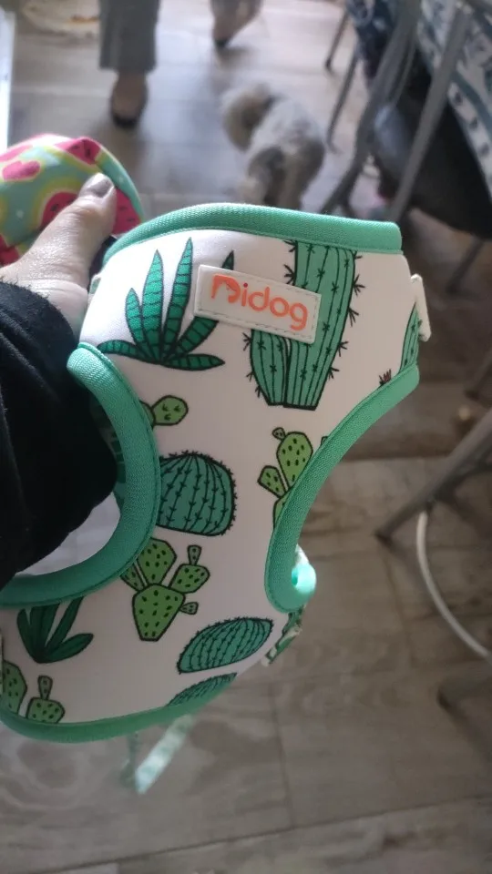 Soft Mesh Vest for Small to Medium Pets, Including French Bulldogs and Chihuahuas photo review