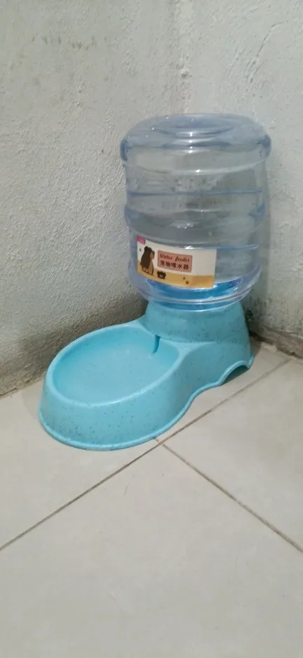 Large Capacity Pet Feeder Bowls Small Dog Food Bowl Automatic Water Dispenser photo review