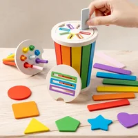 Montessori Color Sorting Matching Toys Wooden Shape Recgnition Toy Kids Math Learning Educational Toys Todders Fine Motor Gifts 1