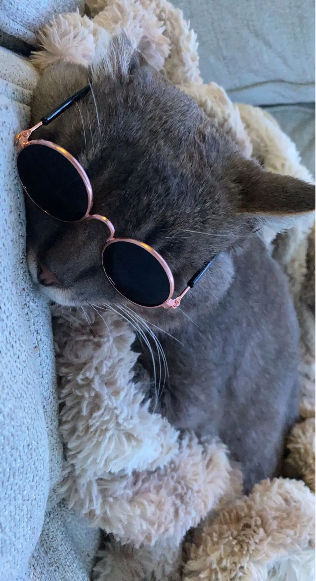 Pet Products Lovely Vintage Round Cat Sunglasses Reflection Eye wear glasses For Small Dog Cat Pet Photos Props Accessories