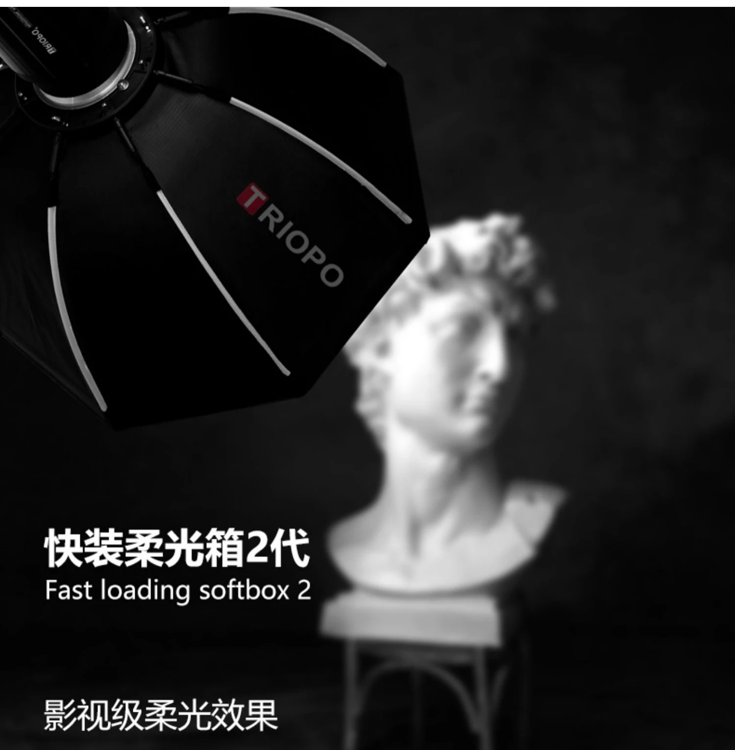 Description Picture 4 of itemTriopo 55cm 65cm 90cm 120cm Speedlite Portable Octagon Umbrella Softbox + Honeycomb Grid Outdoor Flash Soft Box for Iconic Brand Godox