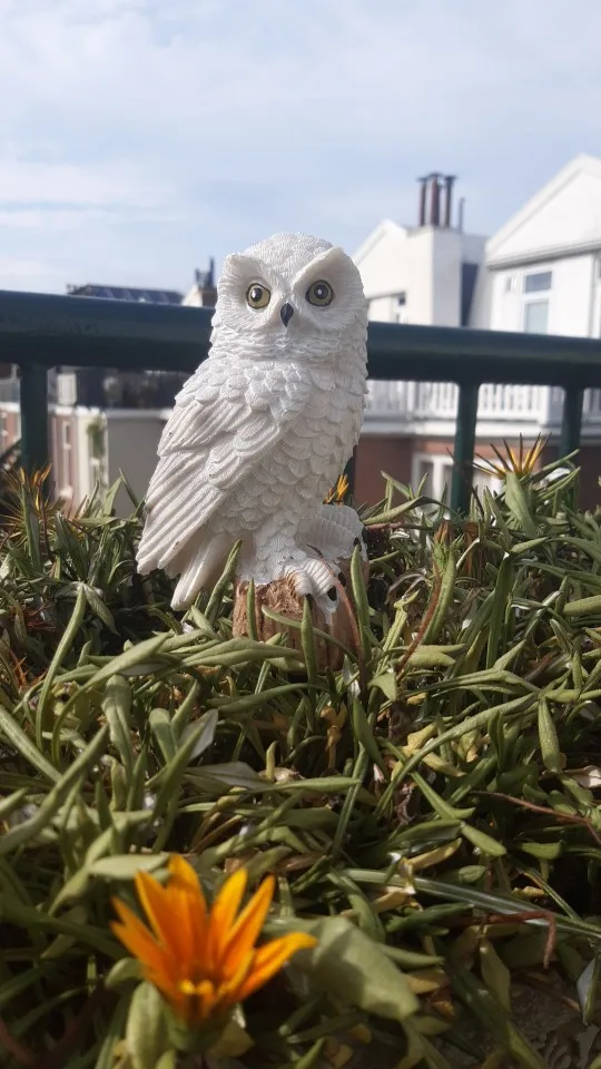 Solar Owl Garden Light, LED Lawn Lamp for Waterproof Garden Decoration and Festive Christmas Lights photo review