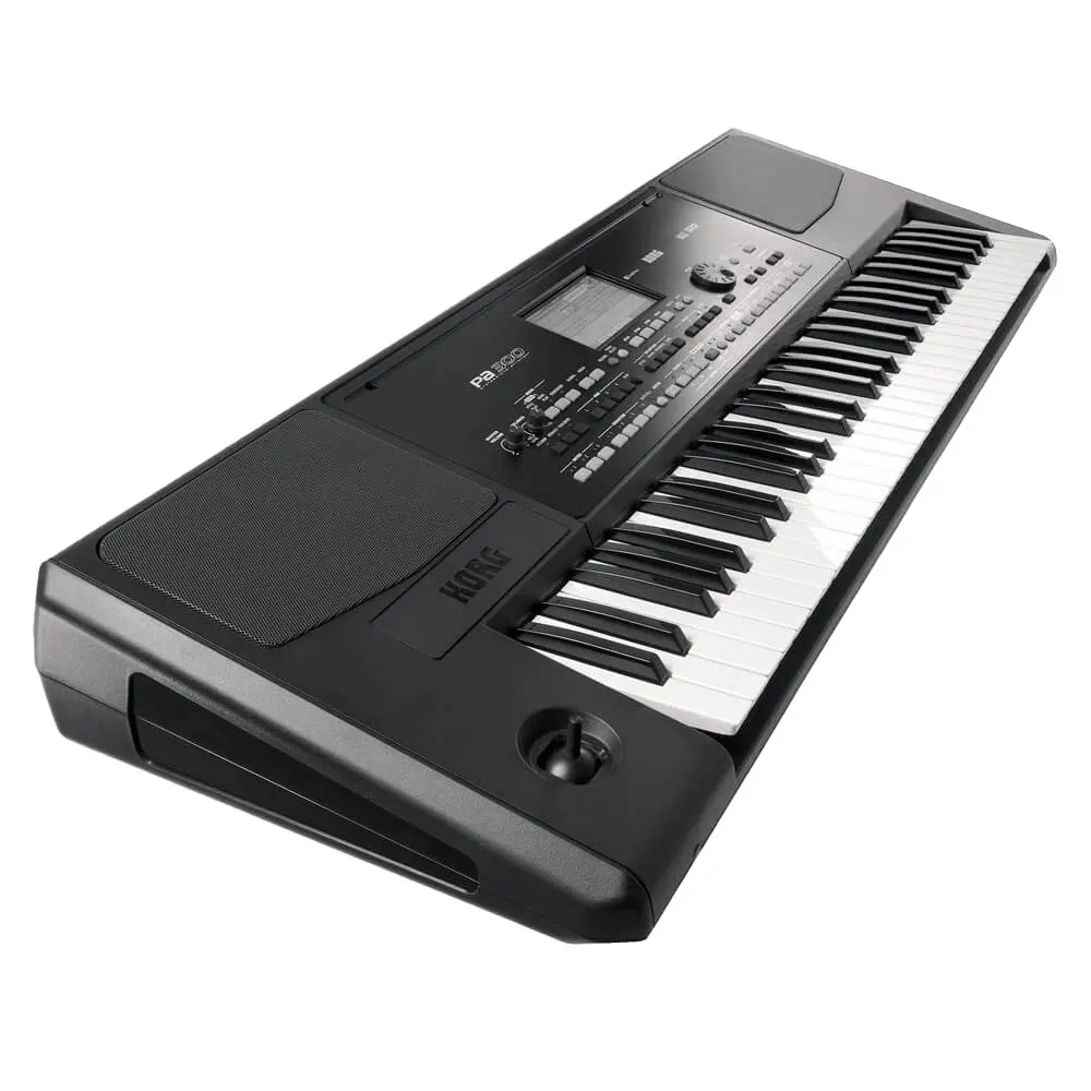 

Новинка в STOKES Korg Pa300 61-клавишная рабочая станция