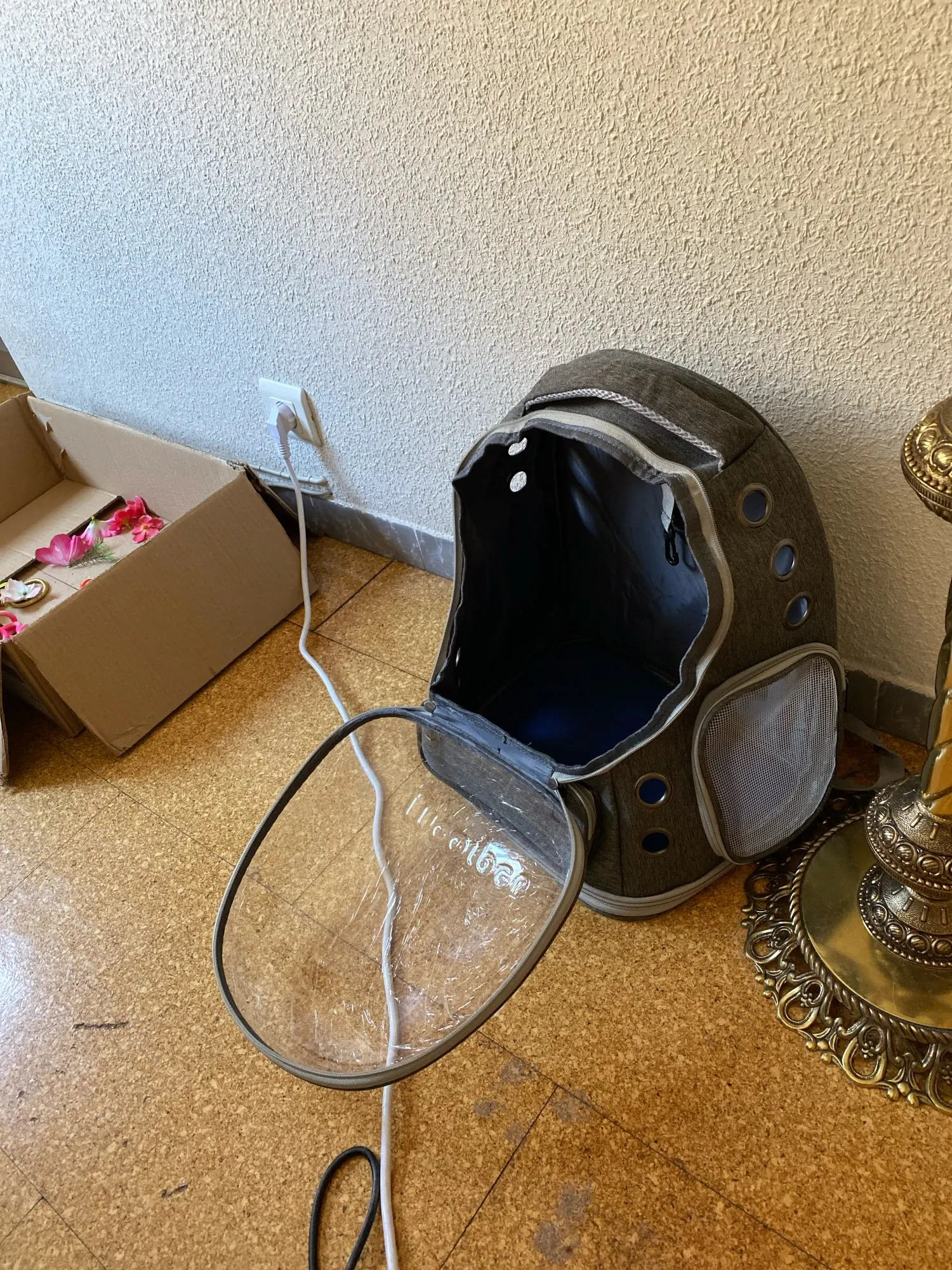 Sac de transport transparent pour chat et petit chien – Sac à dos respirant pour voyage et promenade photo review