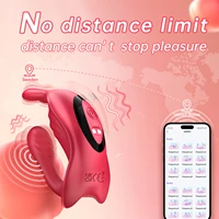 App Tragbarer Höschenvibrator für Paare, Frauen, Sexspielzeug für Erwachsene, Fern-Kaninchen-Stimulator für G-Punkt, Klitoris, Penisvergnügen 4