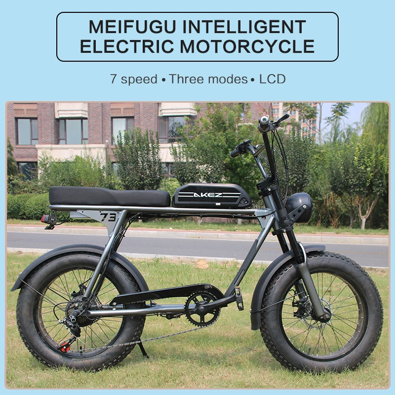 성인용 전기 자전거, 브러시리스 모터, 탈착식 배터리, 비치 마운틴 스노우, 20 인치, 1500W, 48V, 18Ah