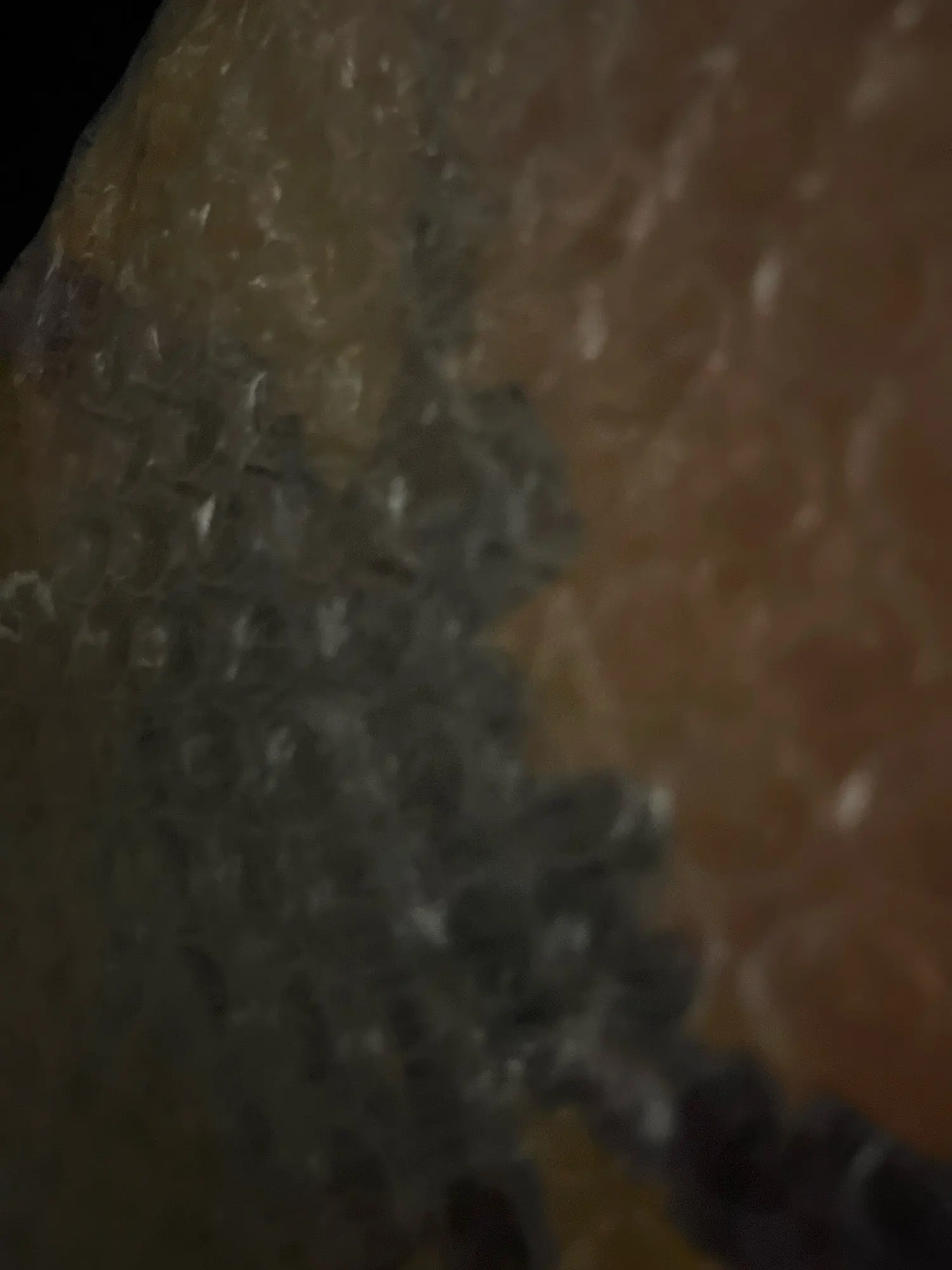 4Pcs Sealed Storage Box Transparent Kitchen Food Grain Organizer Storage Tank Plastic Large capacity Moisture-proof Sealed Jars photo review