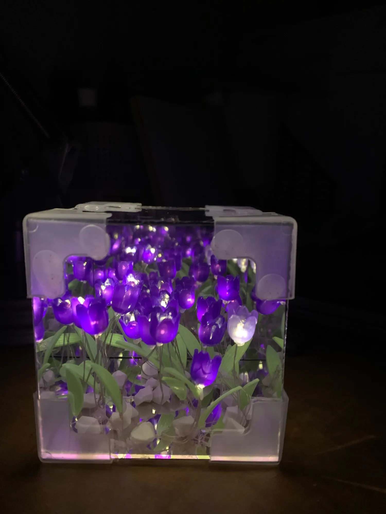 DIY Tulip Flower 3D Cube Lamp photo review