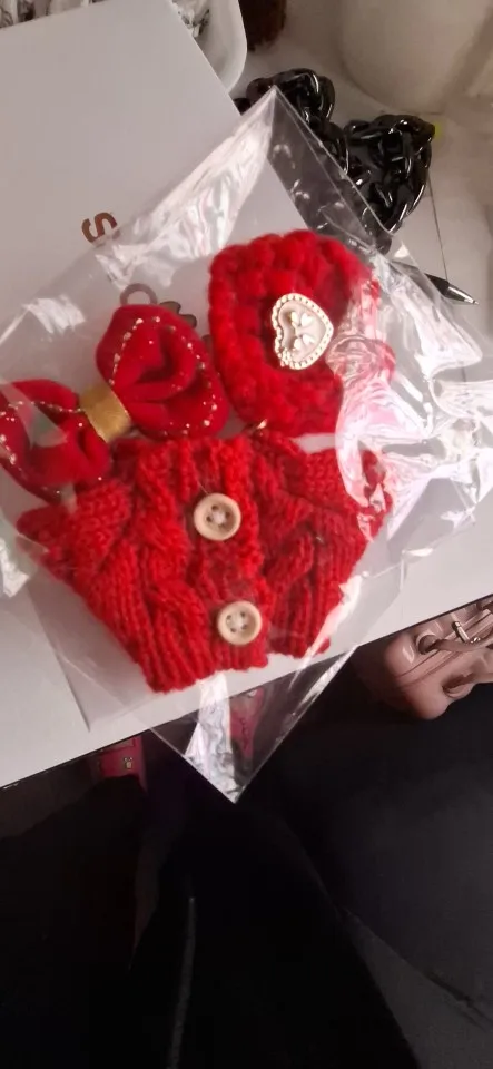 Labubu V1/V2 Doll Clothes: 15/17CM Macaron-Themed Outfit Set with Hair Accessories photo review