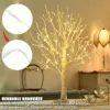 1pc 144 LED Birch Tree Lights, Warm White Light, USB And 3AA Battery Powered (Not Included), Holiday  Decorative Tree 2