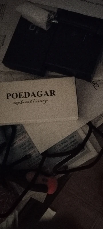POEDAGAR Luxury Men's Quartz Watch photo review