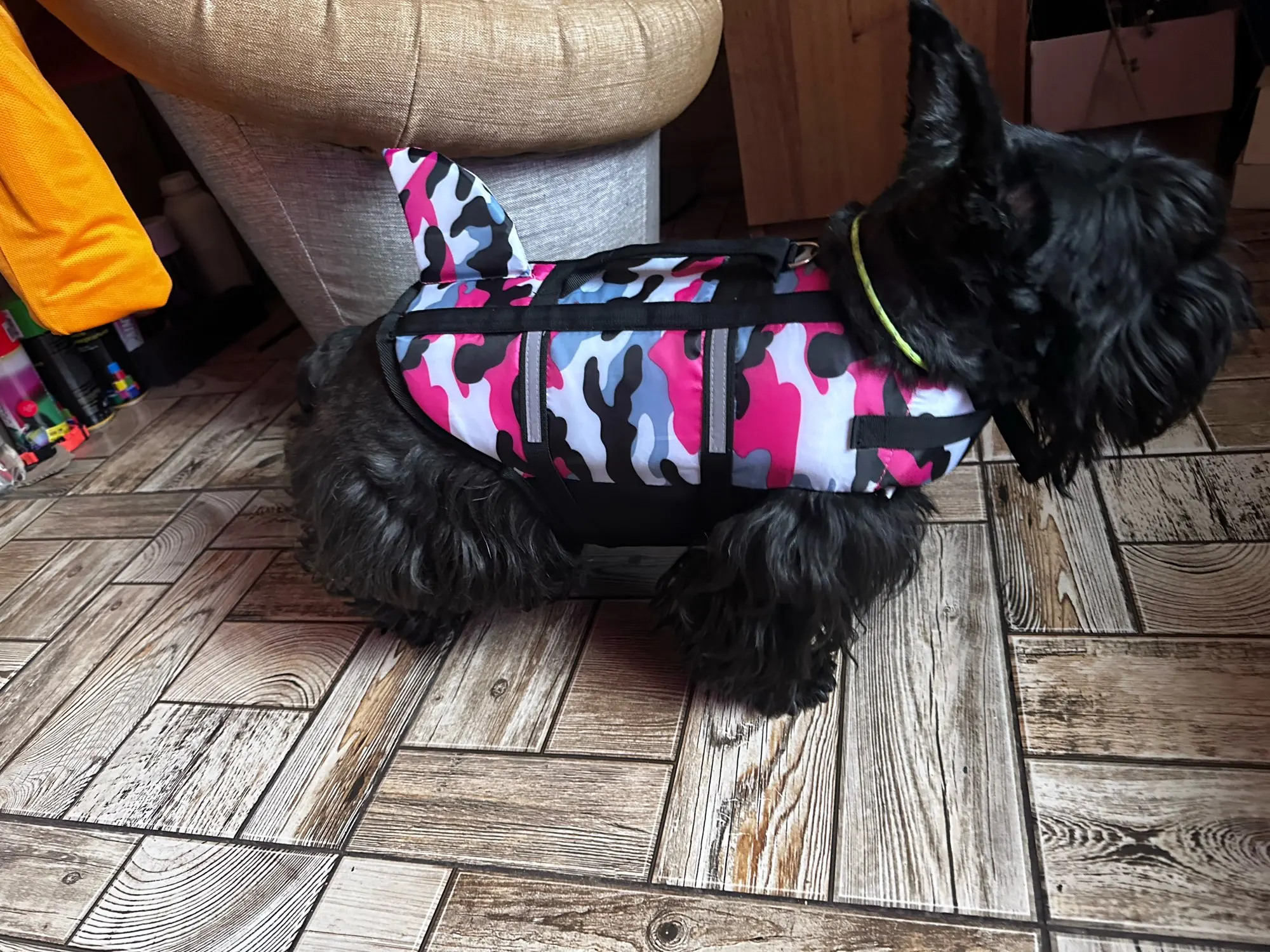 Chaleco Salvavidas Tiburón Con Estillo Para Perro