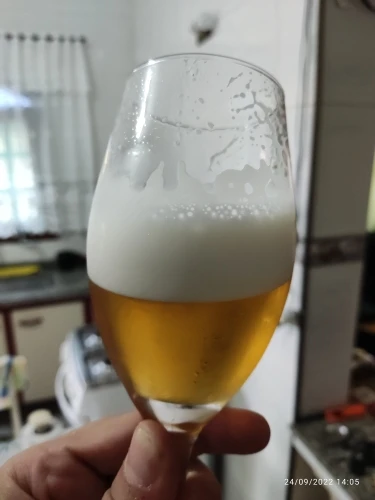 EasyChopp™ Chopp Instantâneo para Cerveja Portátil (Original) photo review