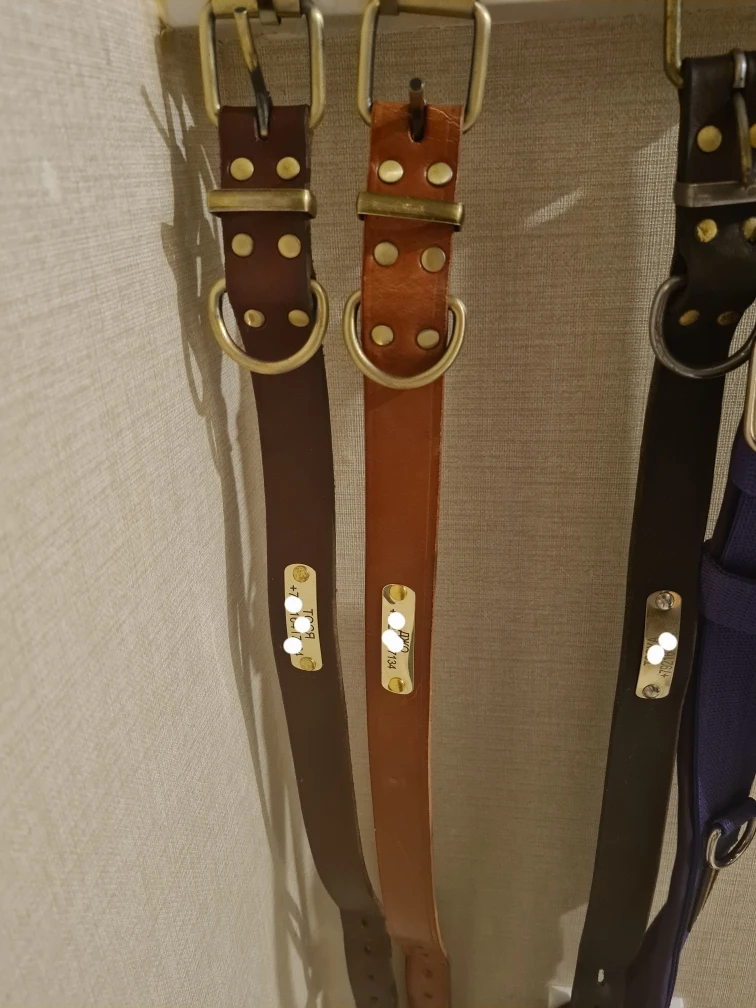 Dogs Genuine Leather Collars photo review