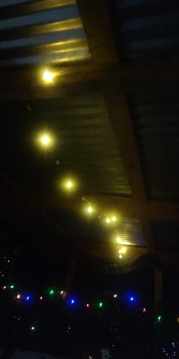 Guirnaldas de luces alimentadas por energía Solar para exteriores, 60 luces de globo de cristal impermeables con 8 modos de luz de jardín para decoración de árboles de fiestas en Patio photo review
