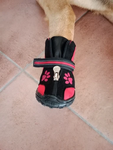 Warm Paws: Reflective Non-slip Dog Shoes for Winter Adventures (4pcs) photo review