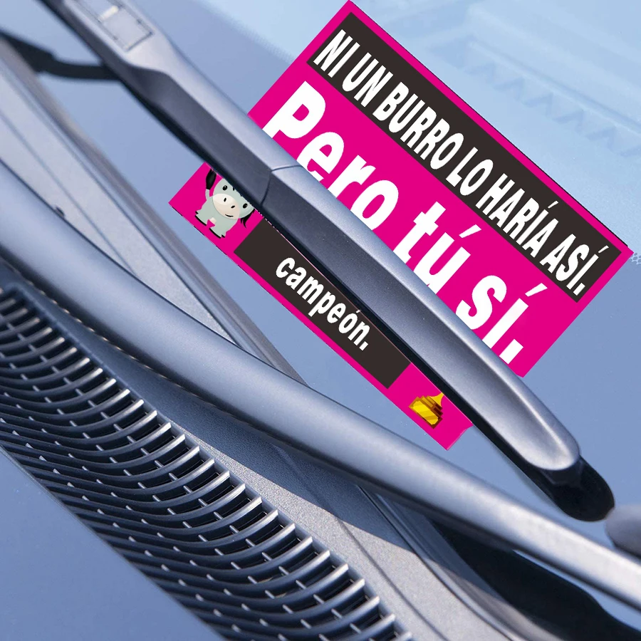 Spanish Parking Sticker Set - 150 Pcs, 5 Humorous Designs, Matte Finish, Self-Adhesive, 7x5cm
