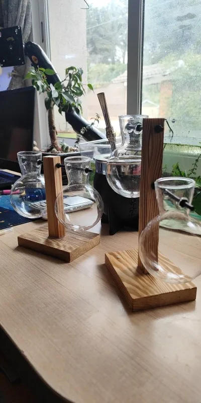 Hydroponic Plant Terrarium Vase photo review