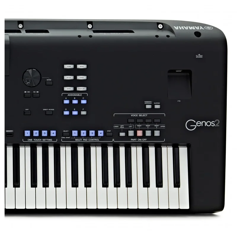 New GE_NOS2 Flagship 76-Key Arranger Keyboard Workstation with Combo In & SA2