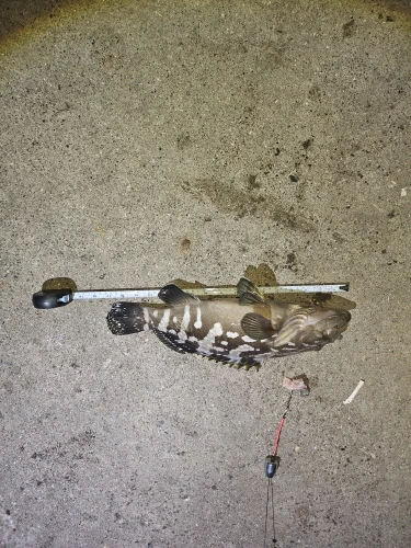 Mini Claw Catch Toy Crane Machine photo review