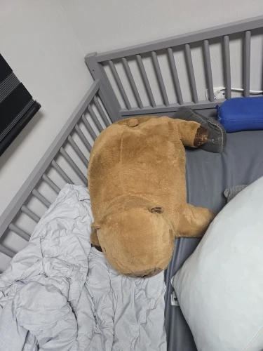 Capivara Fofeza® de Pelúcia – Estilo Almofada