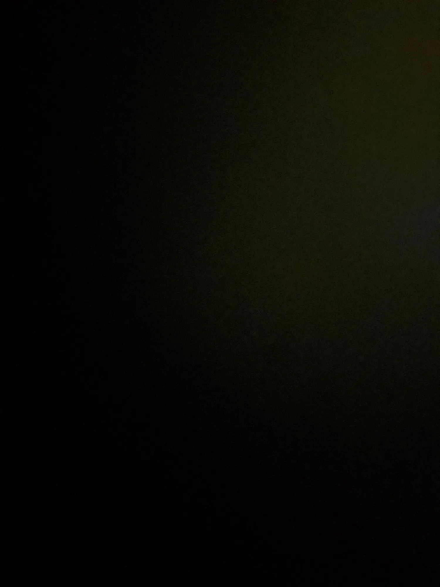 POEDAGAR Luxury Women's Watches photo review