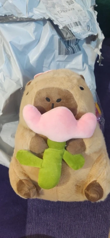 Kawaii Capybara Plushies - Bread & Flower Edition photo review