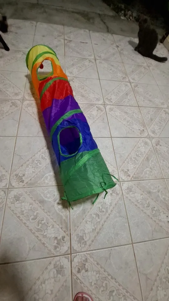 foldable Cat Tunnel Toy photo review
