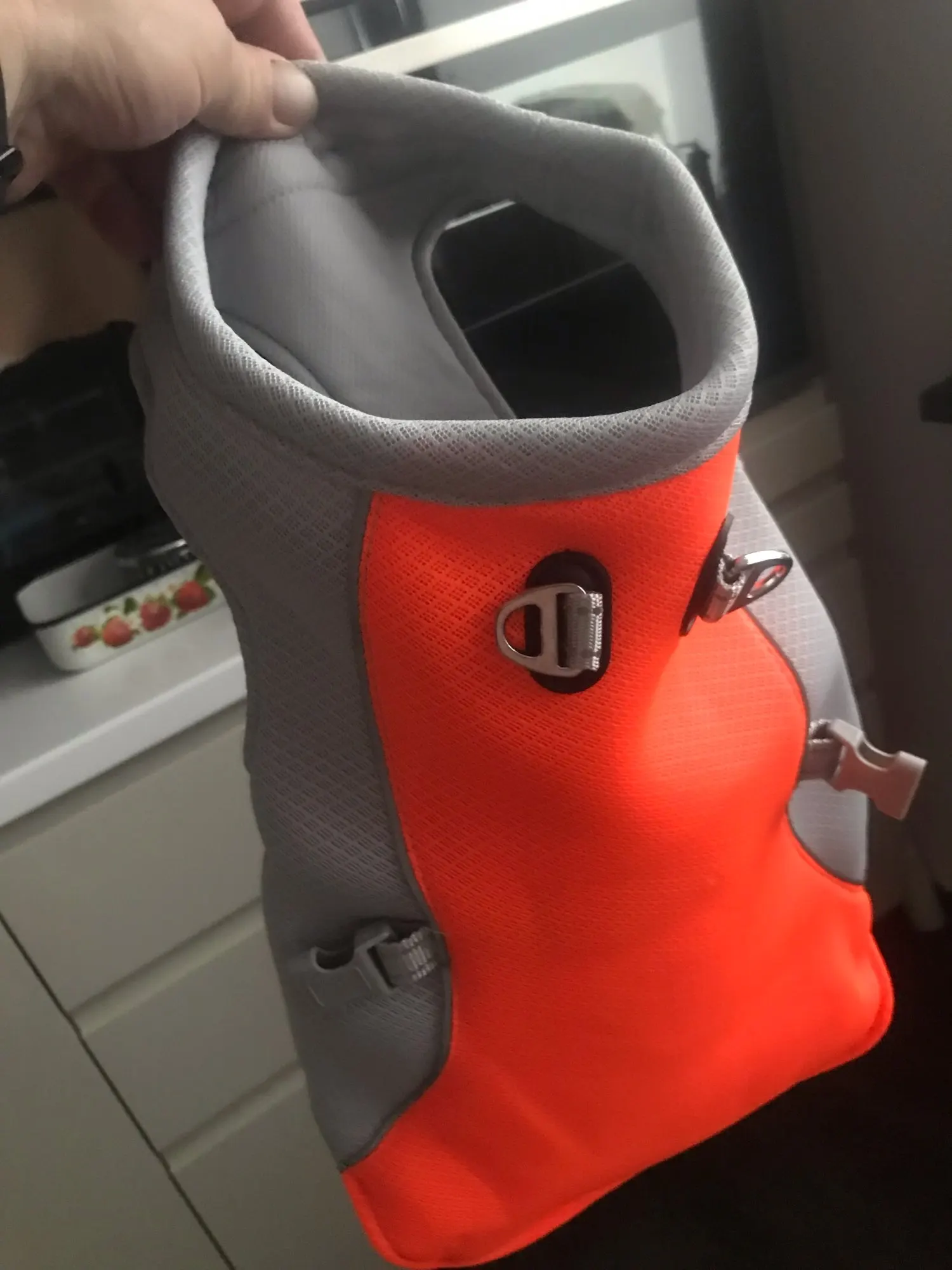Summer Dog Cooling Vest - Breathable photo review