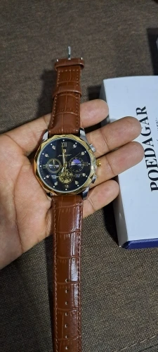 POEDAGAR Luxury Watch for Men photo review