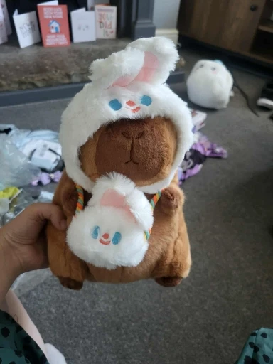 Hatted Capybara Plushies - Squeaky Purse Edition photo review