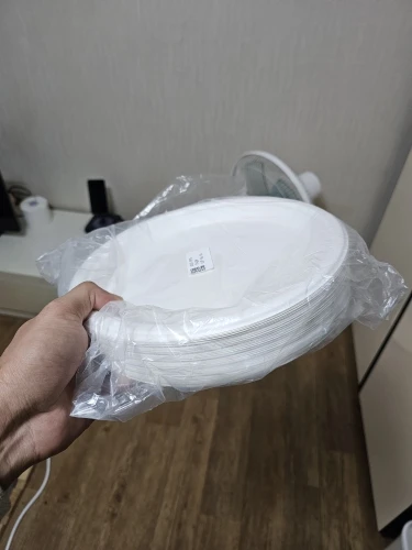 50 Disposable Plates Paperd and Spoon 100% Biodegradable Heavy-Duty Natural Sugarcane Bag-Like Fibers Tableware Compostable photo review