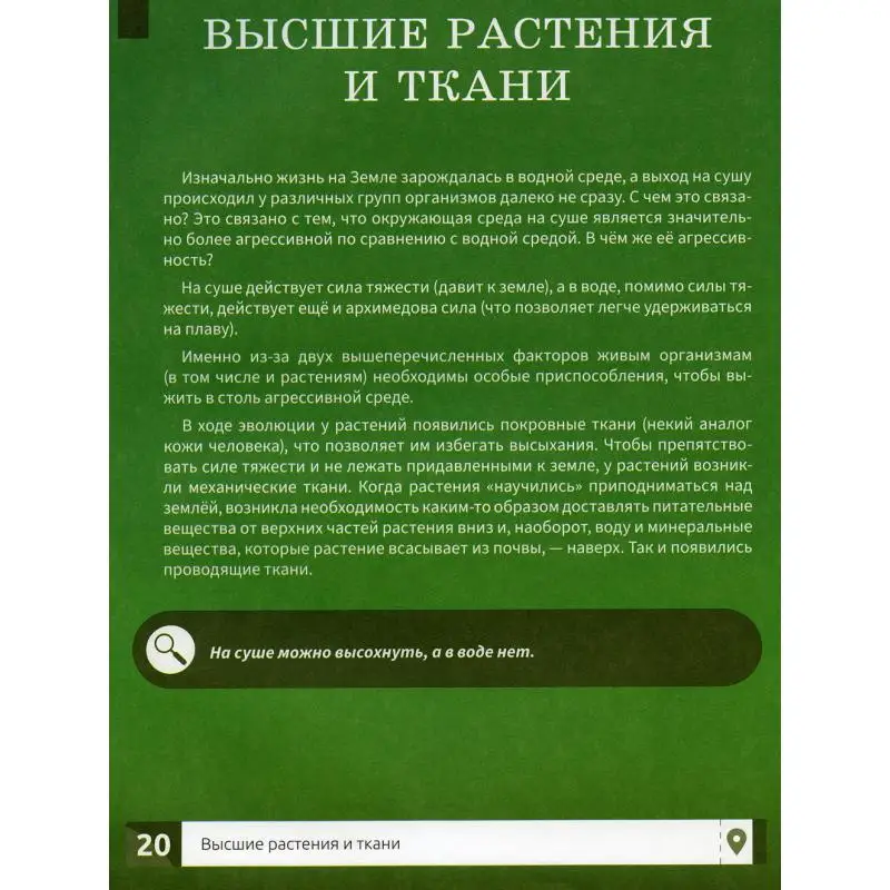 Фото Книга Растения Филатов Максим Алексеевич №3