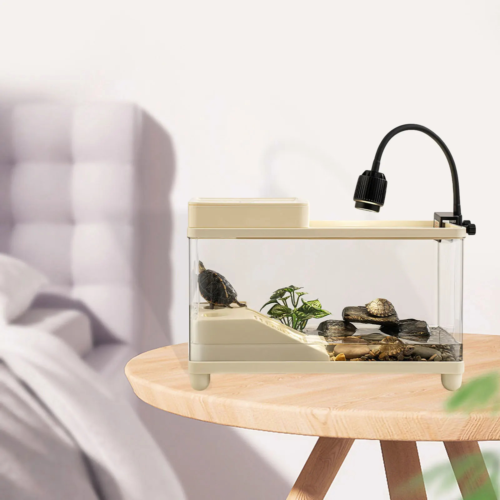 Large Reptile Terrarium 6