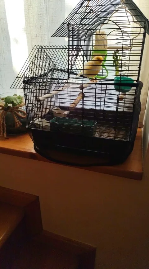 Cubierta de malla Para jaula de pájaros, falda de concha, red de fácil limpieza, protector, jaula para pájaros, malla elástica, jaula Para pájaros Para loros, Jaula Para Pajaros photo review