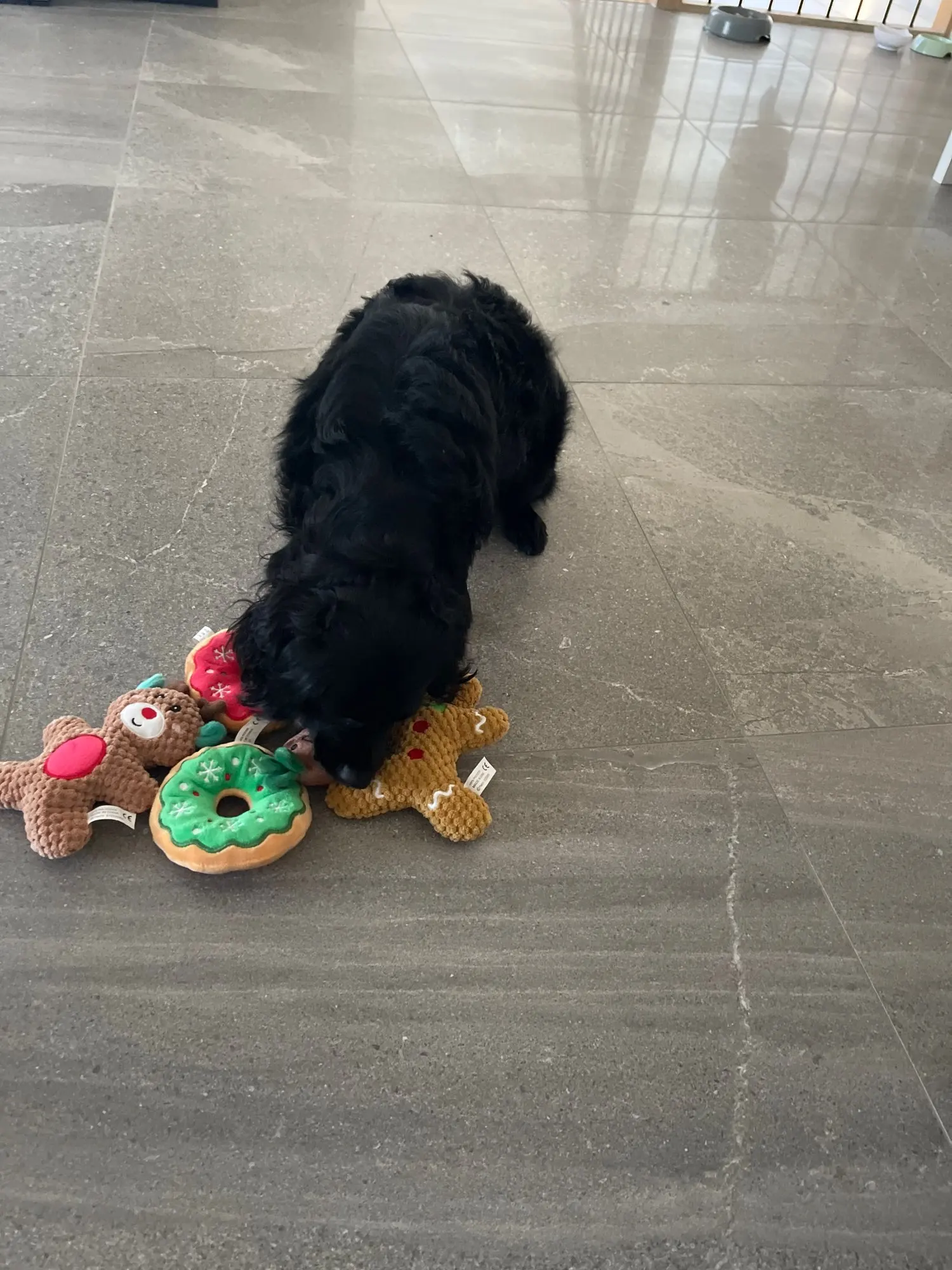 Festive Fluffies,  Plush Christmas Dog Toy Series for Jolly Noise and Pawsome Playtime photo review