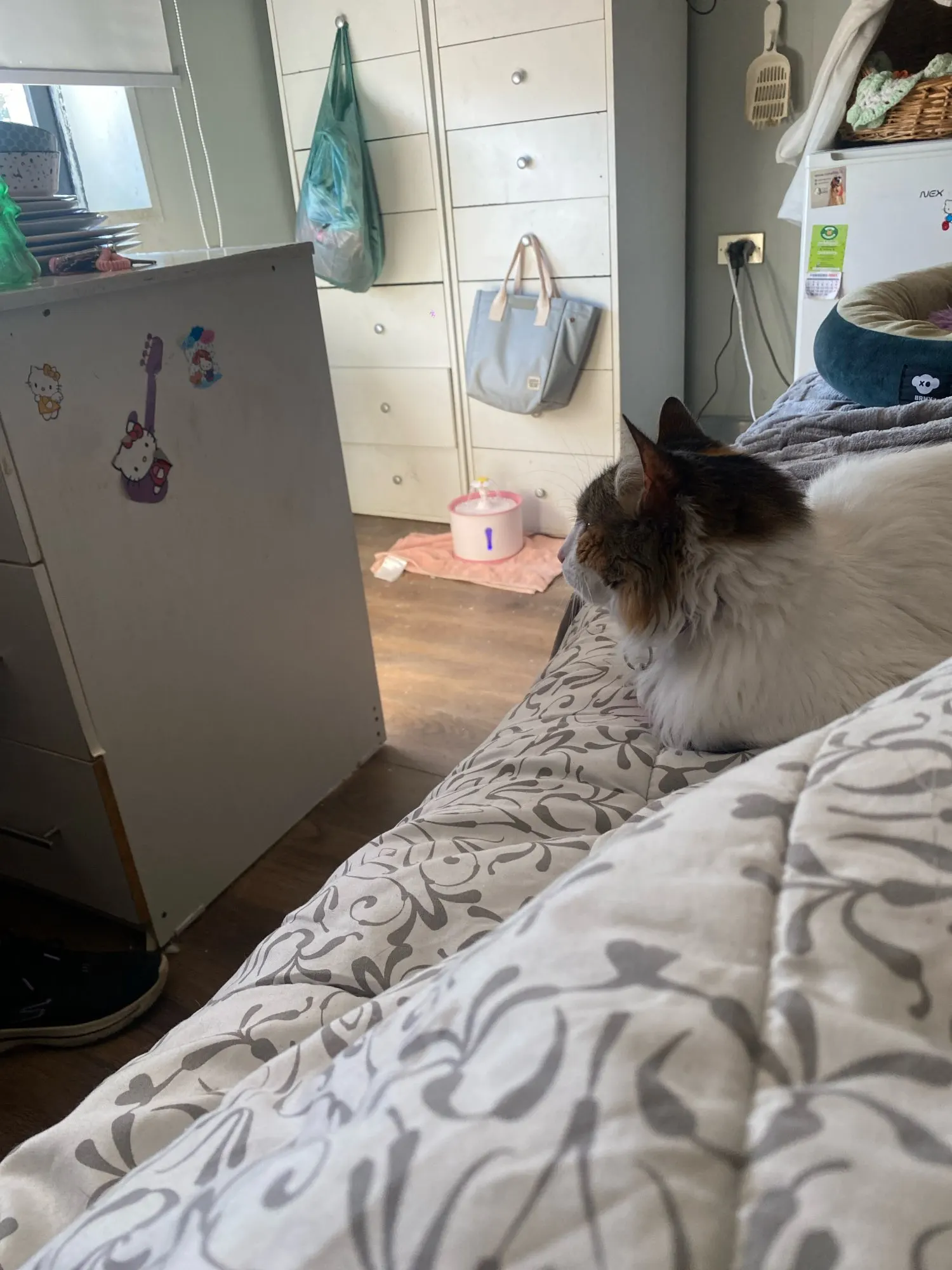 2.4L Pet Cat Dispenser Drinking Water Fountain Activated Carbon Filters LED Automatic Feeder Container USB Interface photo review