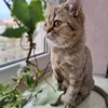 Изображение товара 1